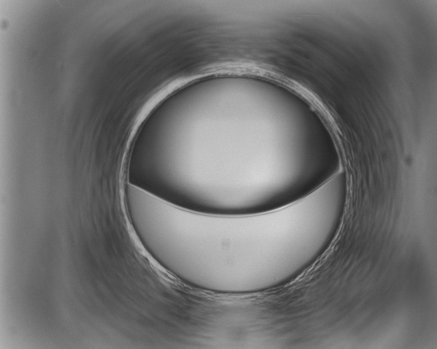 X0000087641440200705030741