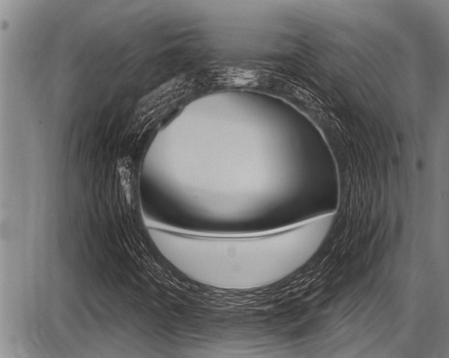 X0000087641442200705030740
