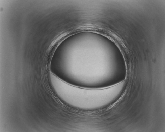 X0000087641453200705030740