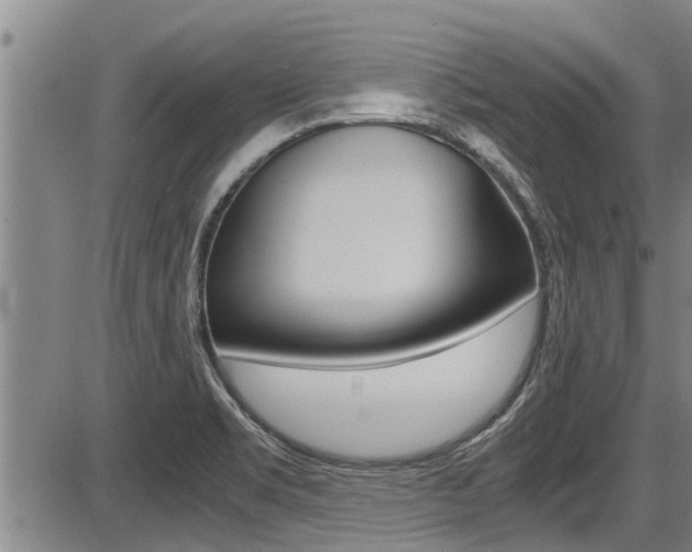 X0000087641469200705030740