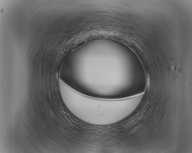 X0000087641492200705030739