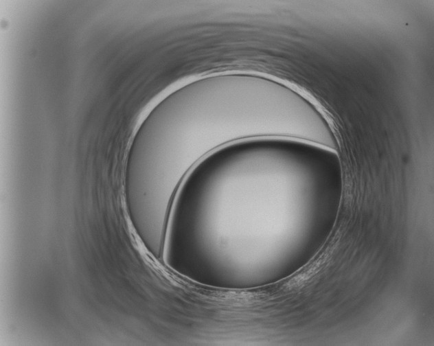 X0000087641534200705030740