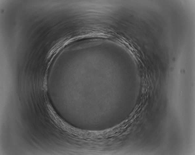 X0000087640002200705031522