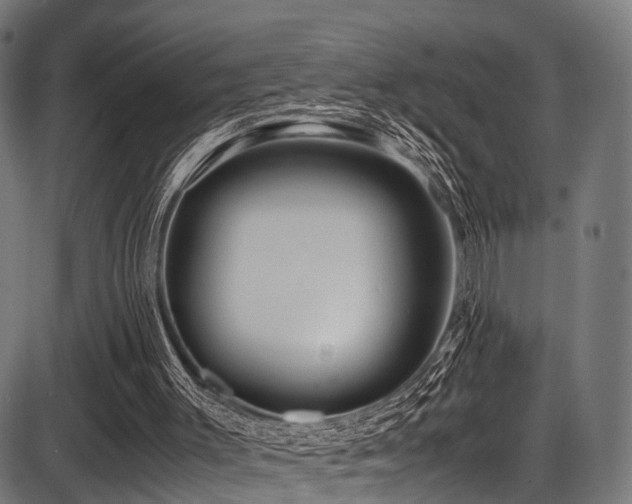 X0000087640003200705031522