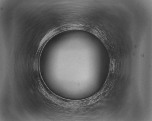 X0000087640004200705031522