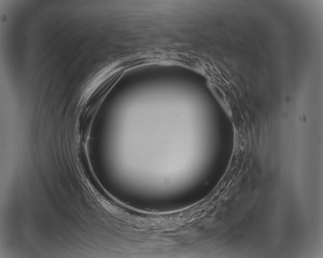 X0000087640005200705031522