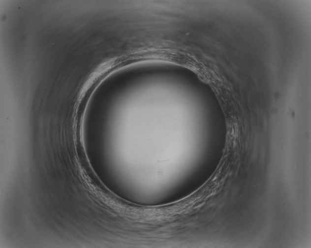 X0000087640006200705031522