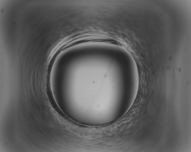 X0000087640007200705031522