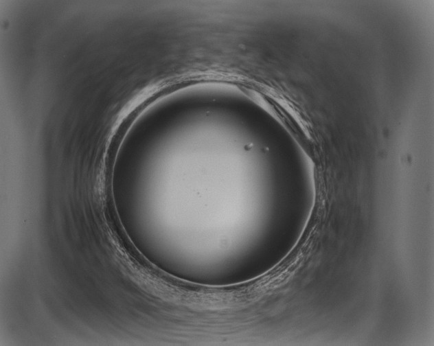 X0000087640008200705031522