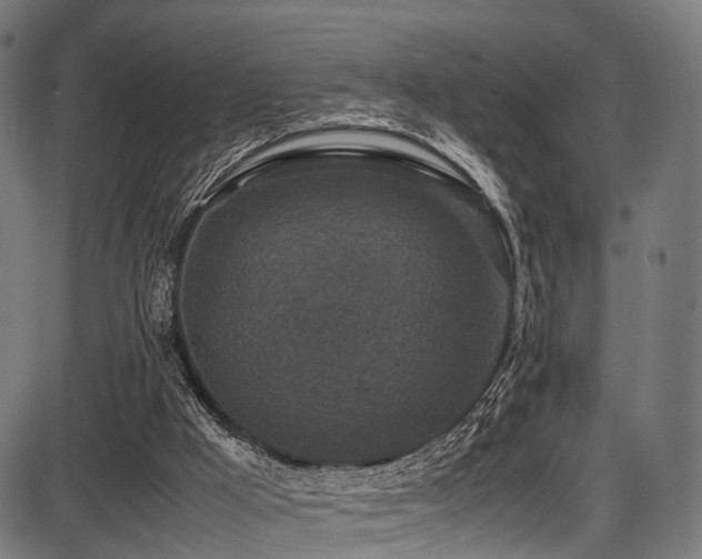 X0000087640009200705031522