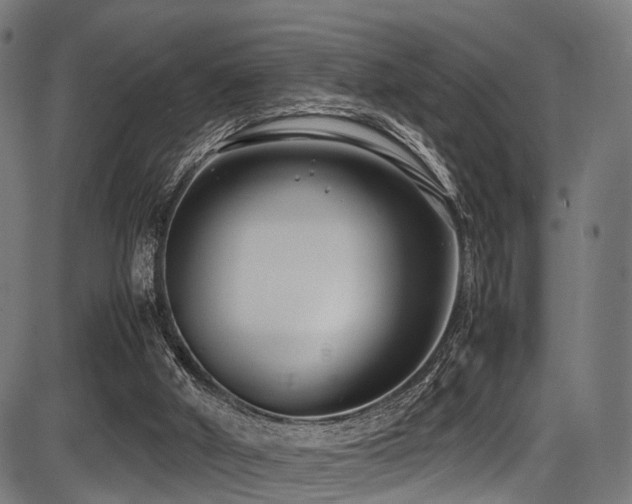 X0000087640010200705031522