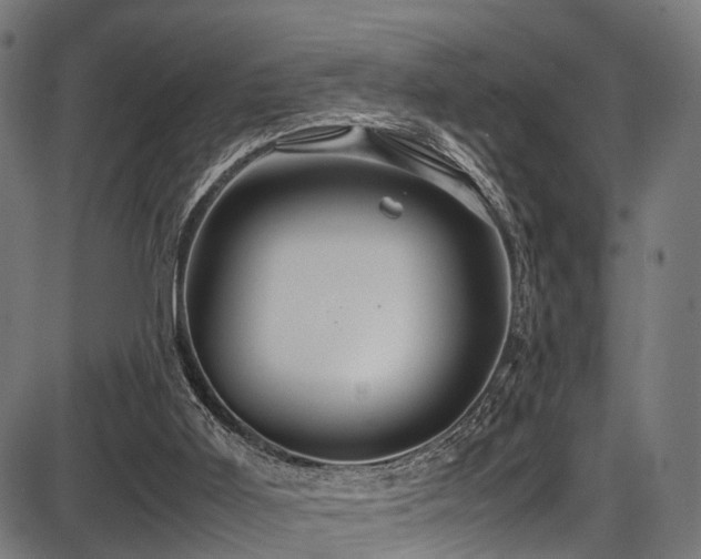 X0000087640011200705031522