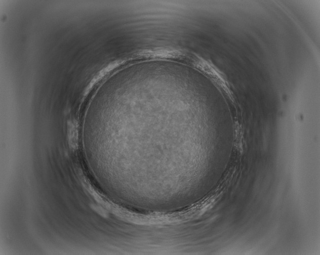 X0000087640012200705031522