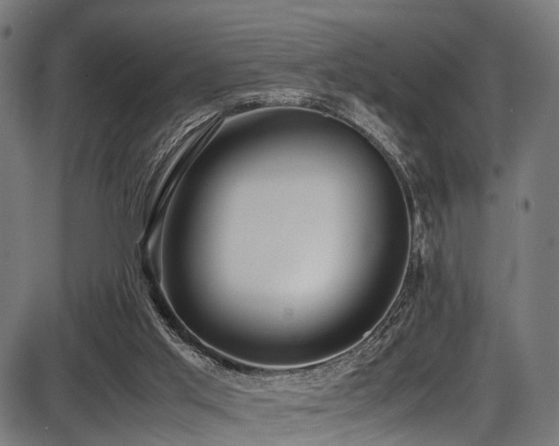 X0000087640013200705031522