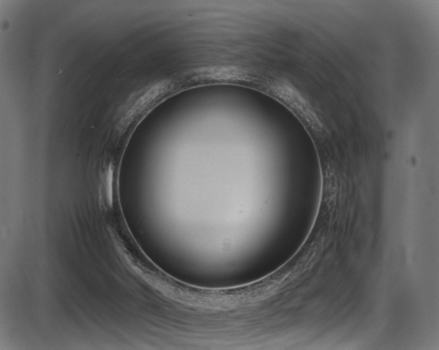 X0000087640014200705031522