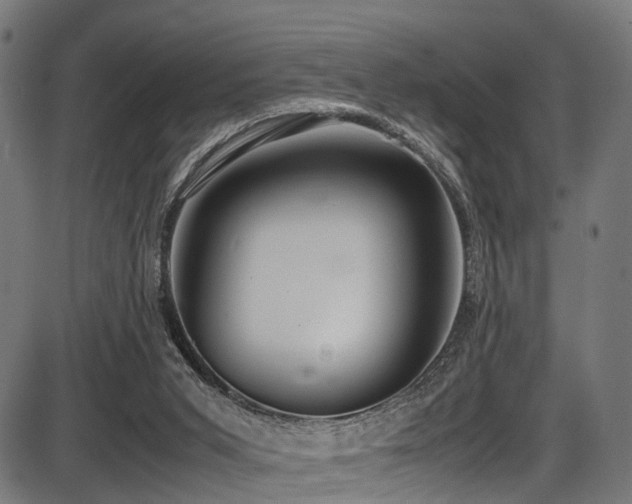 X0000087640015200705031522