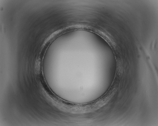 X0000087640016200705031522