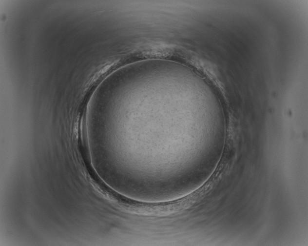 X0000087640017200705031522