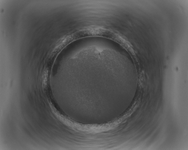 X0000087640018200705031522