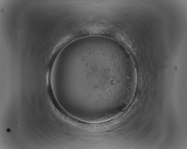 X0000087640019200705031522