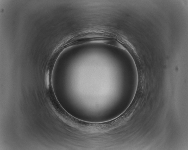 X0000087640020200705031522