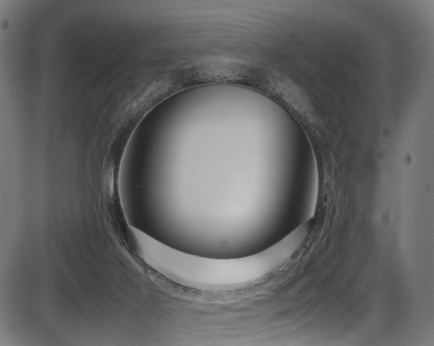 X0000087640021200705031522