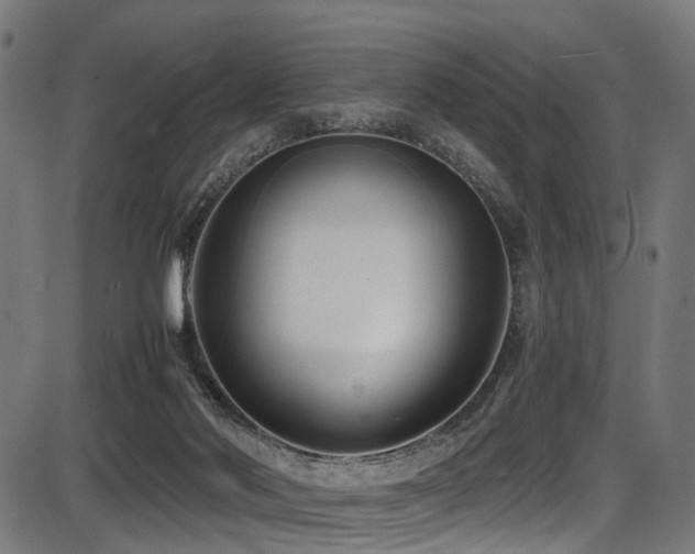 X0000087640022200705031522