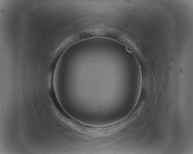 X0000087640023200705031521