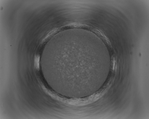 X0000087640024200705031521