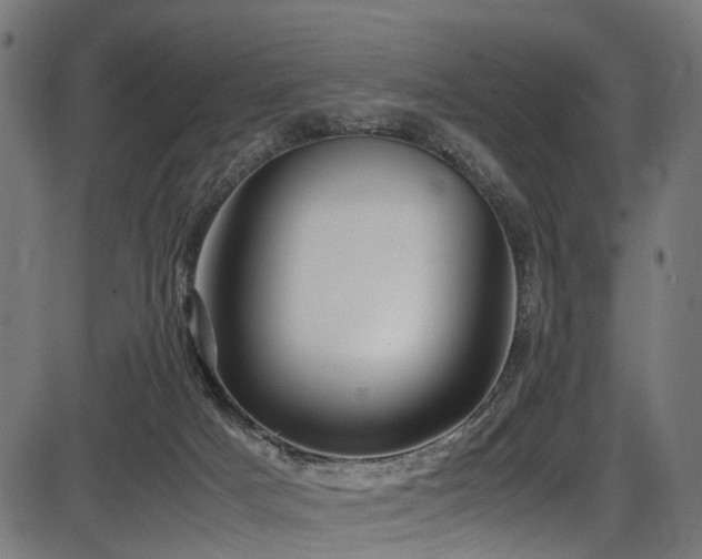 X0000087640025200705031521