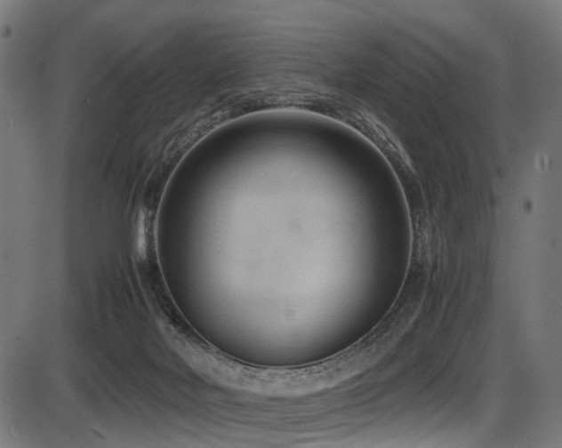 X0000087640026200705031521