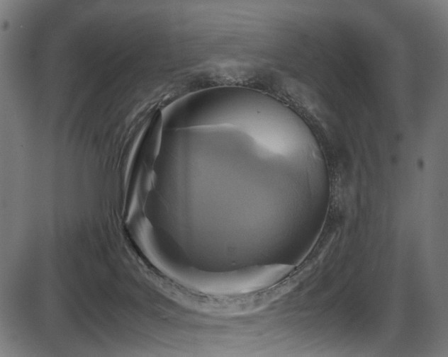 X0000087640027200705031521