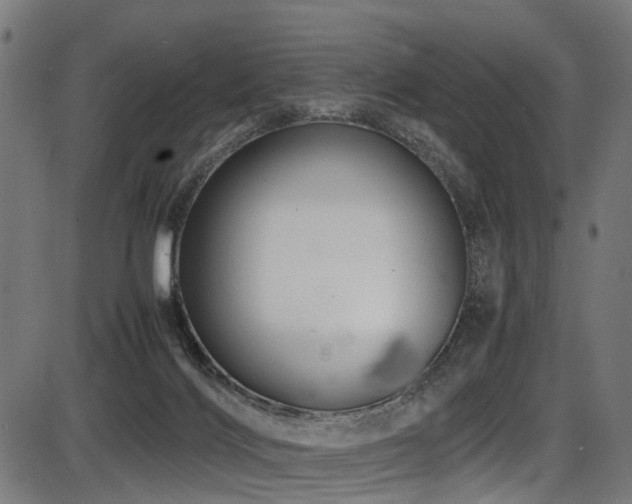 X0000087640028200705031521