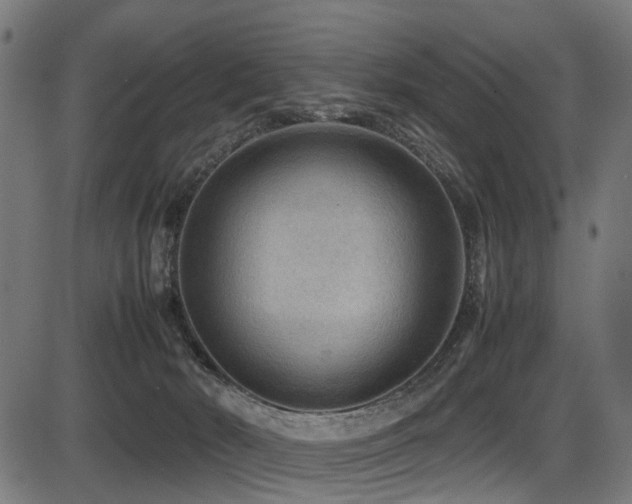 X0000087640030200705031521