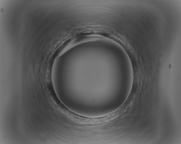 X0000087640031200705031521