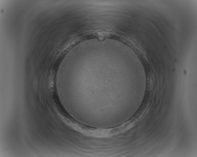 X0000087640032200705031521