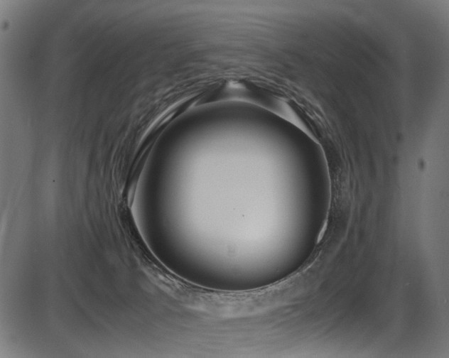 X0000087640033200705031521