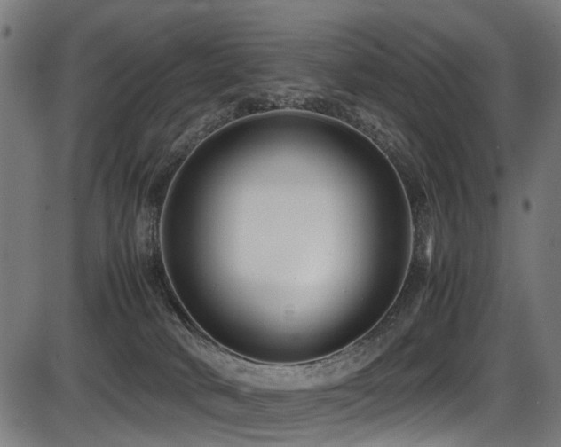 X0000087640034200705031521