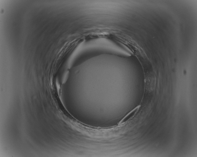 X0000087640035200705031521