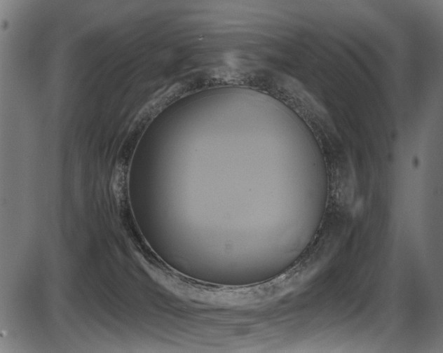 X0000087640036200705031521