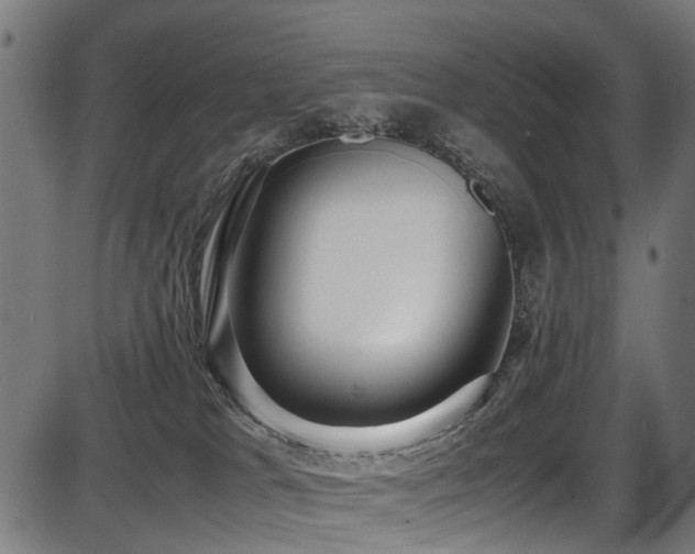 X0000087640037200705031521