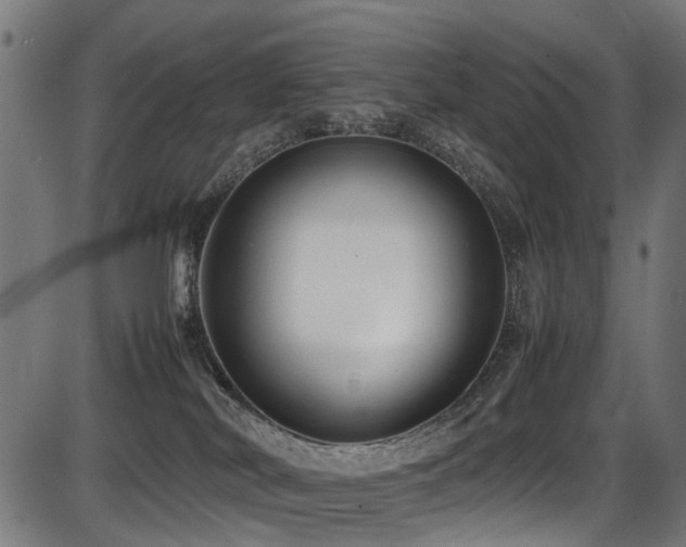 X0000087640038200705031521