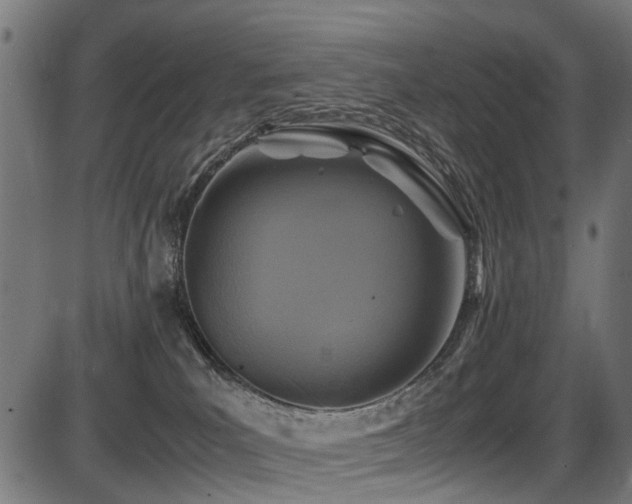 X0000087640039200705031521