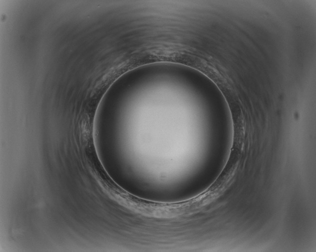 X0000087640040200705031521