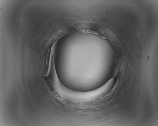 X0000087640041200705031521