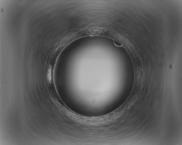 X0000087640042200705031521