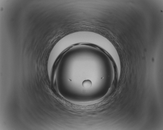 X0000087640043200705031521