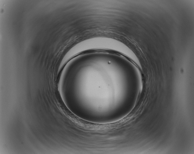 X0000087640044200705031521