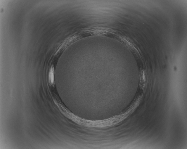 X0000087640046200705031521