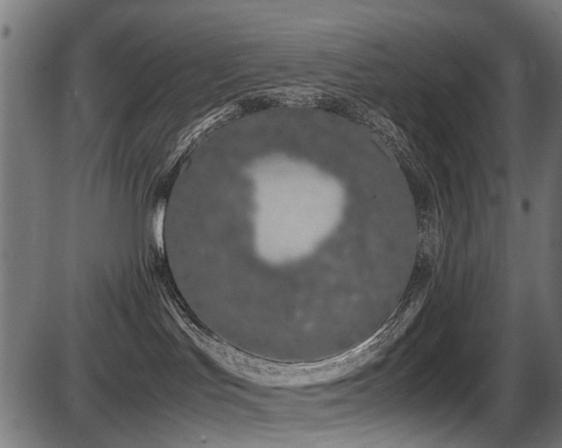 X0000087640047200705031521